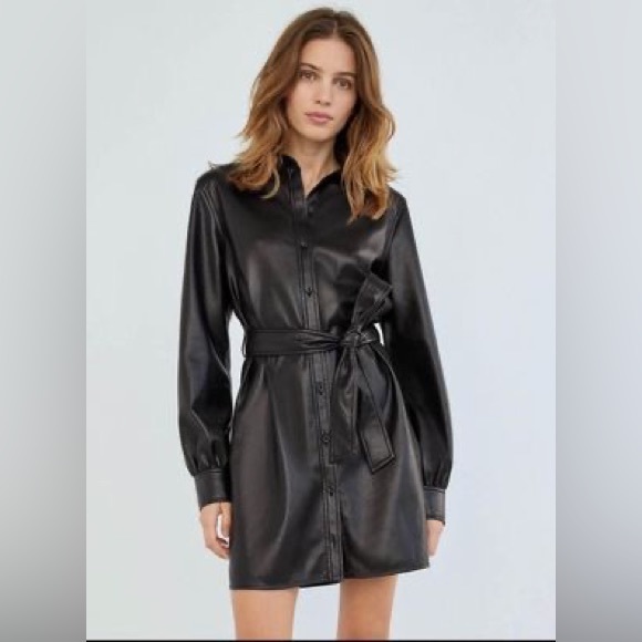 Wilfred Carolina Dress brand anew with tags - Picture 2 of 2